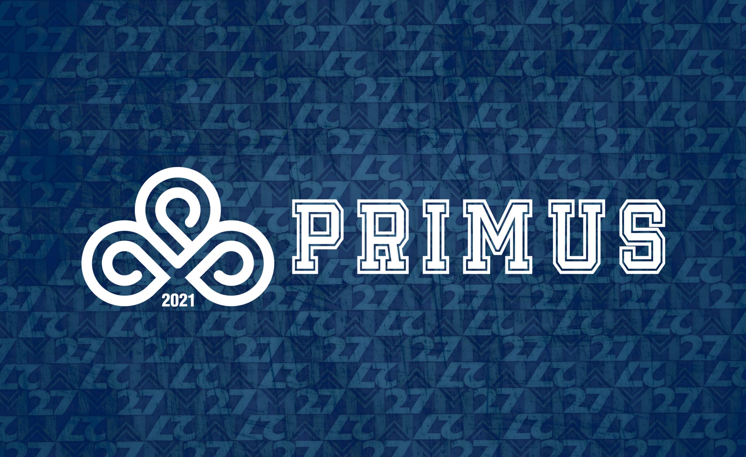 https://swintonlionsrlfc.co.uk/wp-content/uploads/2024/12/Primus-Sponsors-Page-scaled.jpg